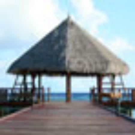 Obento Obachan no Mise